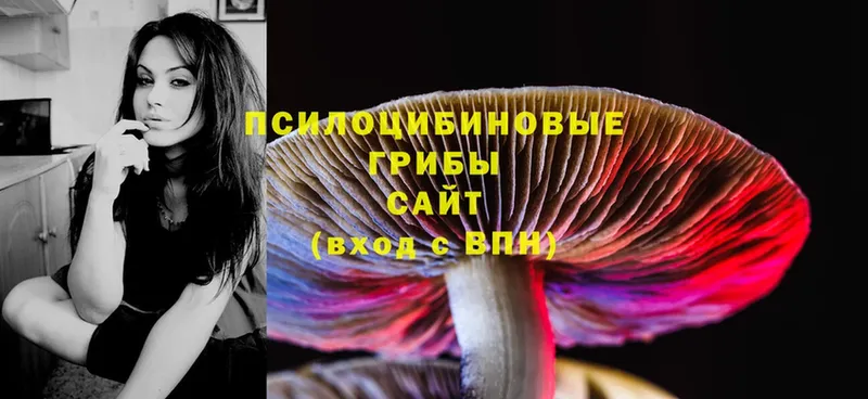 Галлюциногенные грибы Magic Shrooms  купить наркотики сайты  Агидель 